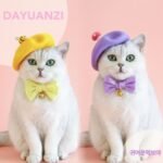 Boina e Laço Cartoon de Lã — Estilo Princesa para Pets