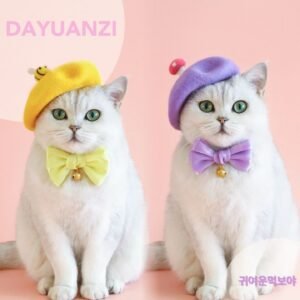 Boina e Laço Cartoon de Lã — Estilo Princesa para Pets