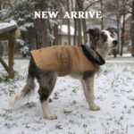Casaco Resistente e Quente para Cães – Estilo Europeu Marrom Café