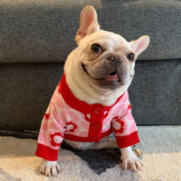 Suéter Jacquard Vermelho — Elegante e Quentinho para Cães