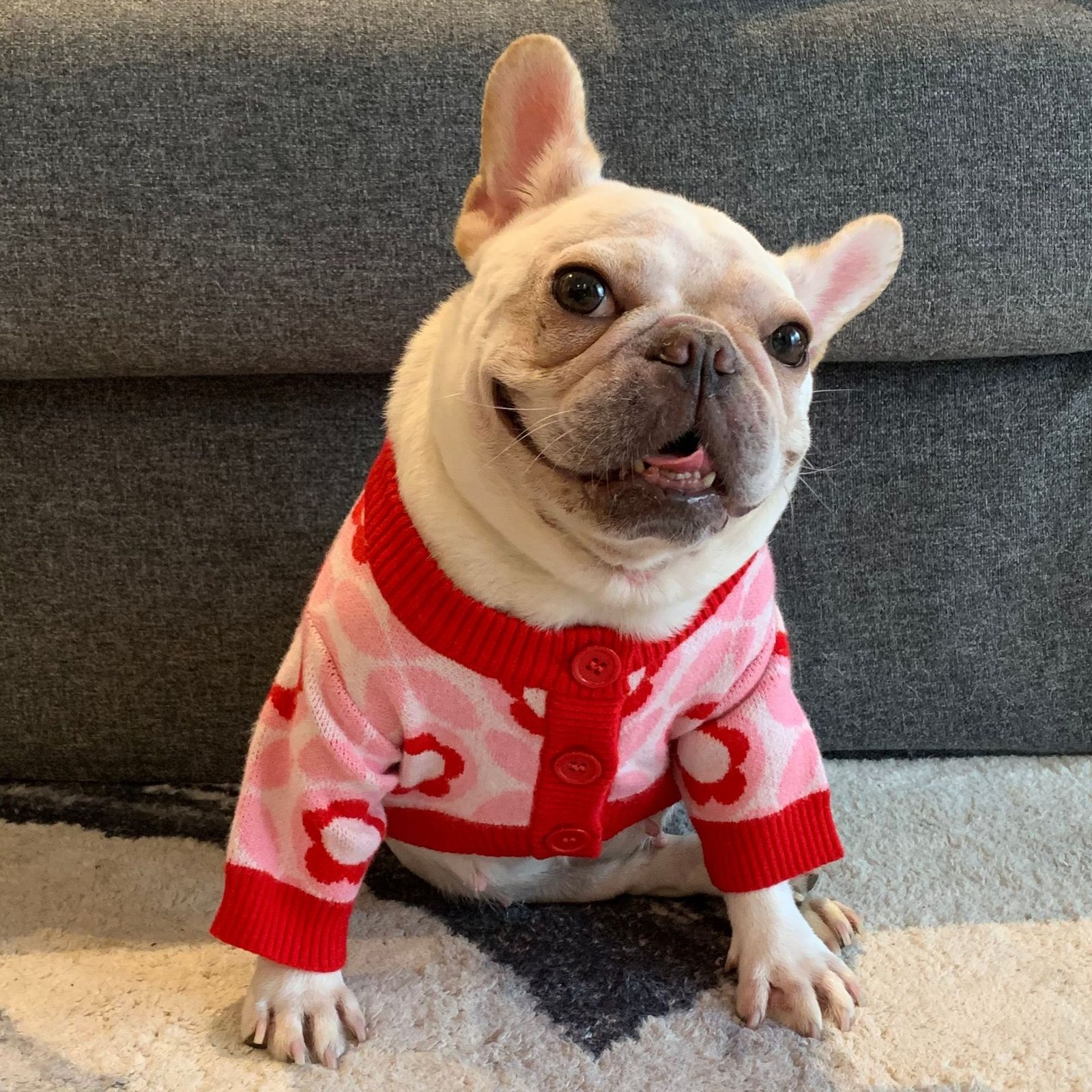 Suéter Jacquard Vermelho — Elegante e Quentinho para Cães