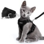 Peitoral Antifuga para Gato com Cinto de Segurança para Carro — Refletivo e Ajustável