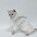 Suéter de Tricô Quentinho para Pets – Outono e Inverno