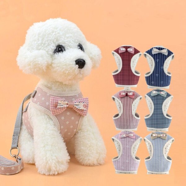 Peitoral com Guia Estampado para Cães e Gatos – Moda Pet