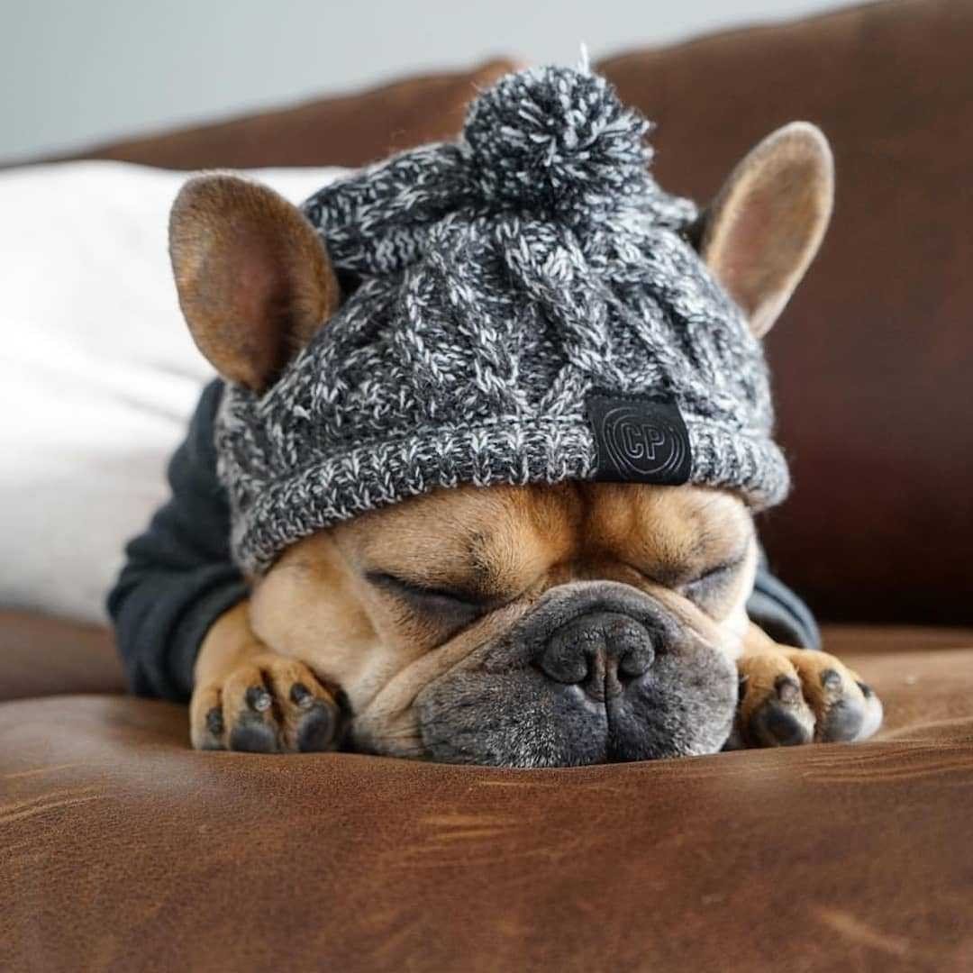 Gorro de Tricô com Pompom para Cães – Proteção no Frio