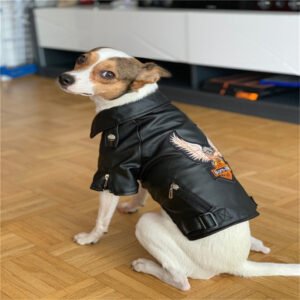 Jaqueta de Couro com Bordado de Águia para Cães Pequenos