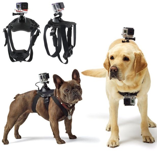 Peitoral Estilo Super-Herói para Cães com Guia