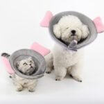 Gola Protetora Floral para Cães e Gatos — Pós-Cirurgia Confortável