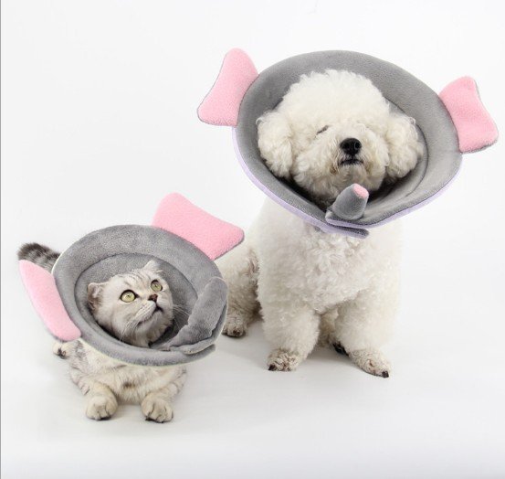 Gola Protetora Floral para Cães e Gatos — Pós-Cirurgia Confortável