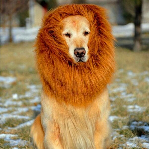 Peruca Juba de Leão para Cães Grandes – Fantasia Divertida para Fotos
