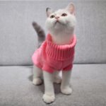 Suéter Quente Gola Alta Rosa para Filhotes e Gatos