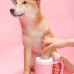 Copo Limpa-Patas Silicone para Cães e Gatos