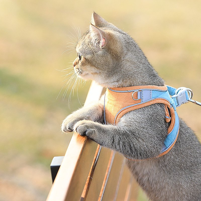 Coleira Peitoral Colete para Gato com Guia de Passeio — Estilo Britânico