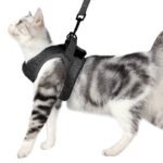 Peitoral Colete para Gato com Guia — Ajustável e Leve
