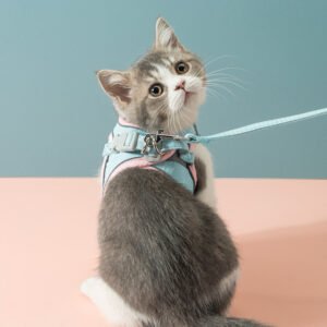 Peitoral Anti-Fuga para Gatos com Faixa Refletiva – Segurança Total no Passeio