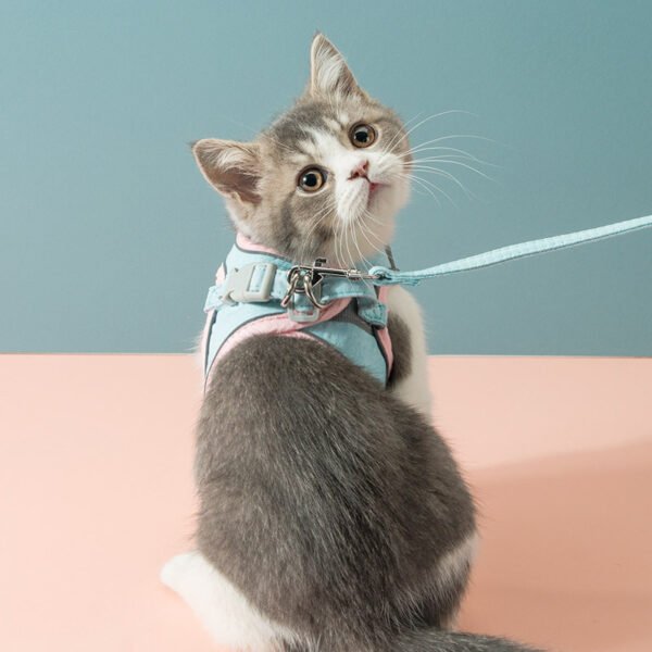 Peitoral Anti-Fuga para Gatos com Faixa Refletiva – Segurança Total no Passeio