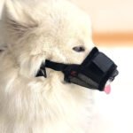 Focinheira Protetora Antimordida  para Cães