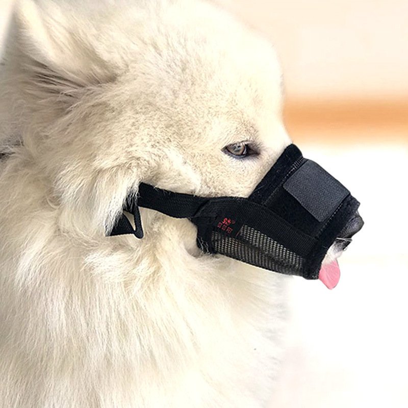 Focinheira Protetora Antimordida  para Cães