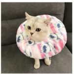 Roupa de Proteção Anti-Lambida e Anti-Arranhão para Pets – Pós-Cirúrgico