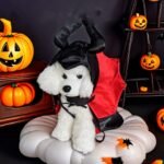 Capa de Morcego Halloween para Pets – Estilo Dramático