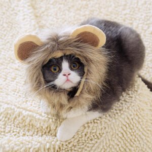 Capuz de Leão para Gatos — Transformação Divertida