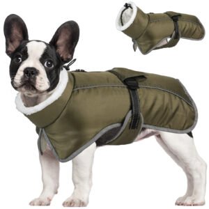 Casaco Acolchoado Impermeável para Cães – Proteção Total no Frio