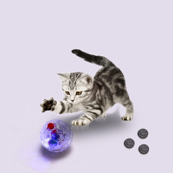 Bola Transparente Luminosa de Plástico – Gatos e Cães