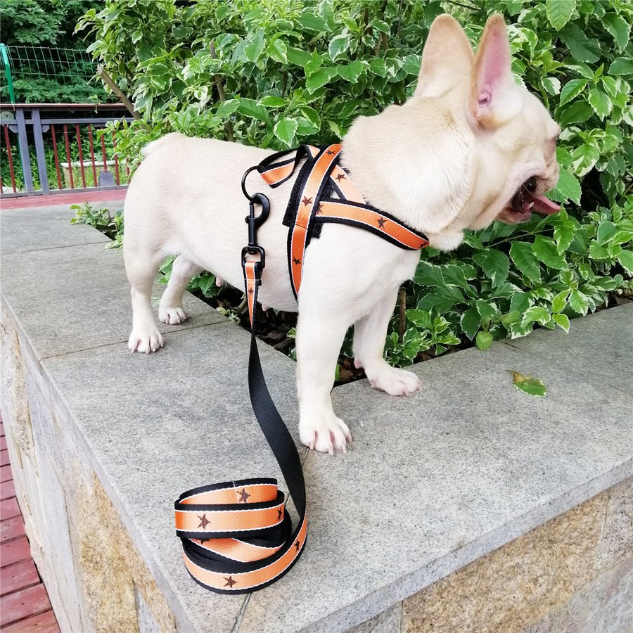 Peitoral Nylon Estampado Antifuga com Guia para Cães
