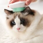 Pente Removedor de Pelos com Limpeza Automática para Cães e Gatos