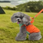 Casaco Acolchoado de Algodão para Cães – Linha Inverno com Muitas Cores