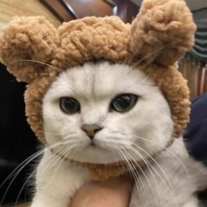 Capuz de Urso Pelúcia para Fotos e Fantasia Pet