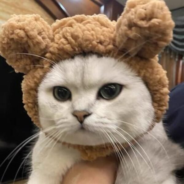 Capuz de Urso Pelúcia para Fotos e Fantasia Pet