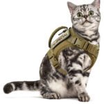 Peitoral com Guia em Oxford para Gatos – Estilo Europeu
