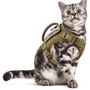 Peitoral com Guia em Oxford para Gatos – Estilo Europeu