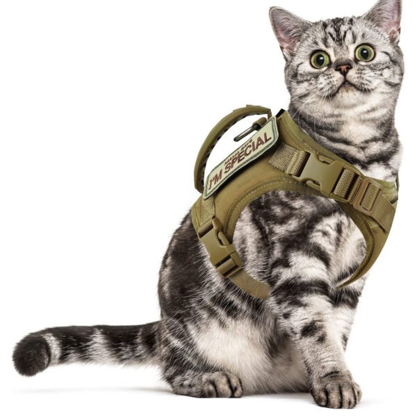 Peitoral com Guia em Oxford para Gatos – Estilo Europeu