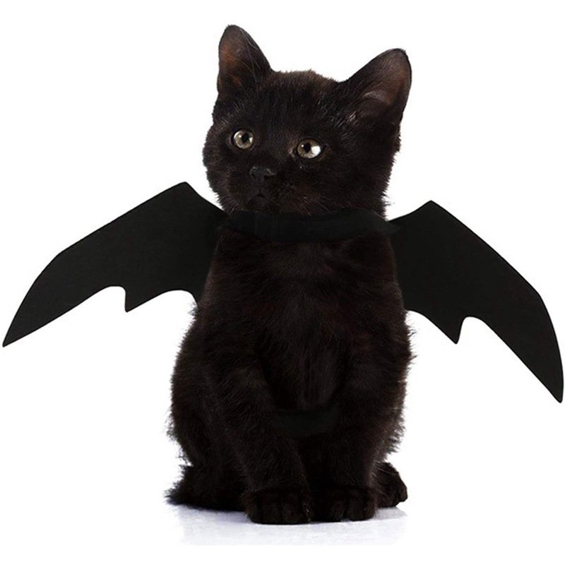 Asas de Morcego para Pets — Fantasia de Halloween para Cães e Gatos