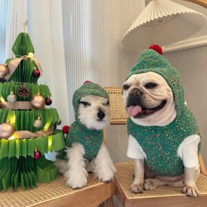 Colete com Capuz Natalino para Cães – Verde com Tema Noel