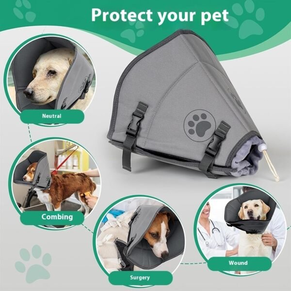 Colar Elizabetano Ajustável para Cães e Gatos — Pós-Cirurgia