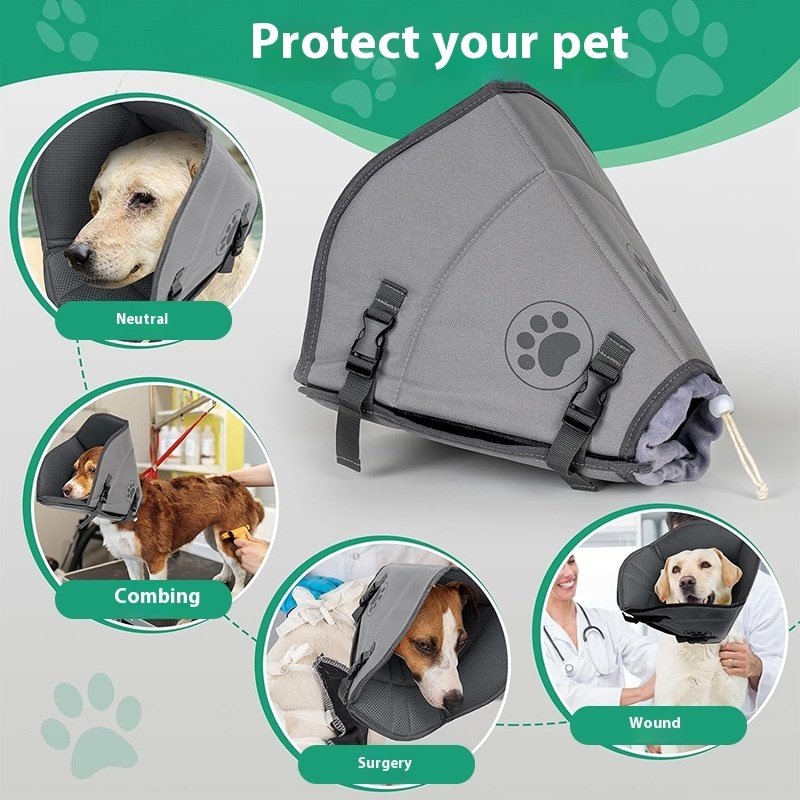 Colar Elizabetano Ajustável para Cães e Gatos — Pós-Cirurgia