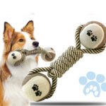 Haltere de Corda e Tênis para Cães - Mordedor e Limpeza Dental