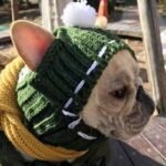 Gorro de Lã Inverno para Cães — Conforto e Estilo no Frio