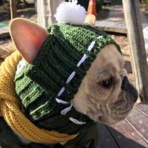 Gorro de Lã Inverno para Cães — Conforto e Estilo no Frio