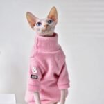Casaco de Inverno para Gatos sem Pelo – Quentinho e Macio