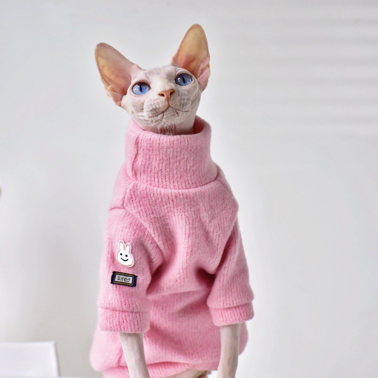 Casaco de Inverno para Gatos sem Pelo – Quentinho e Macio