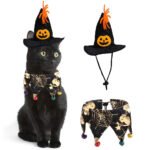 Kit Chapéu e Capa de Halloween para Pets — Caveira e Teia de Aranha
