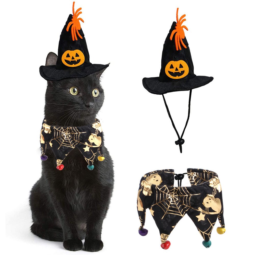Kit Chapéu e Capa de Halloween para Pets — Caveira e Teia de Aranha