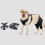 Joelheira Ortopédica para Cães com Displasia e Dor Articular