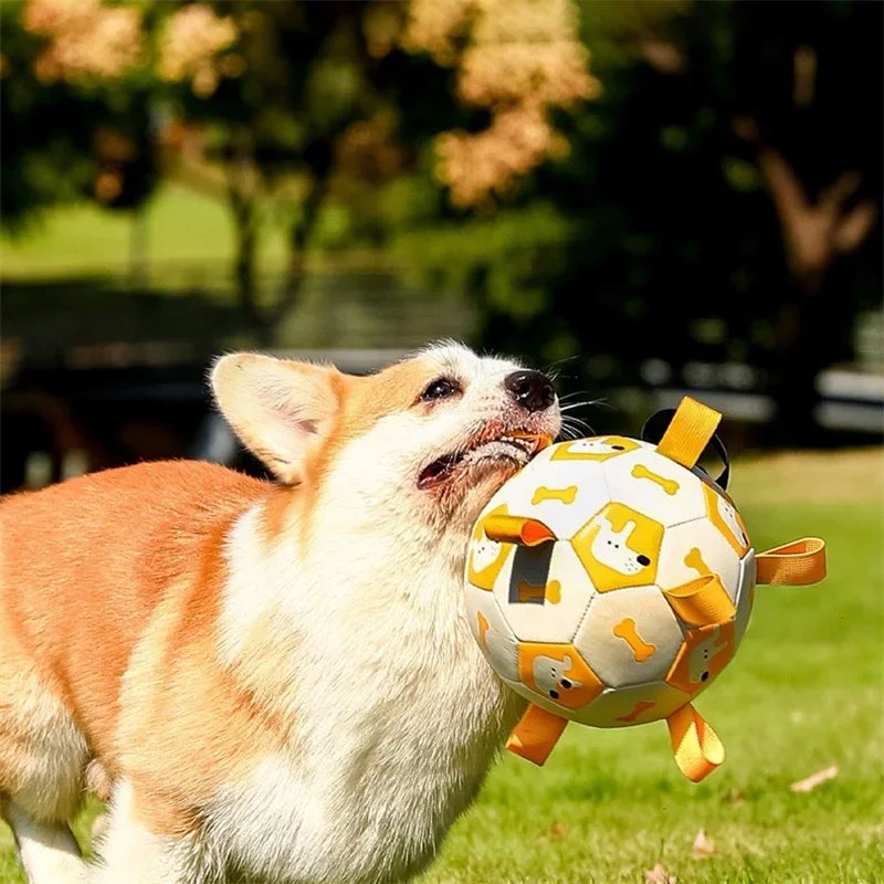 Pelota de fútbol interactiva de PU para perros (interior y exterior)