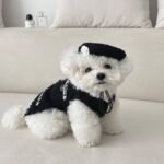 Gorro Tricotado Fashion para Cães e Gatos