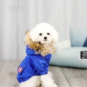 Roupa com Chapéu de Lã para Pets — Algodão e Poliéster Macio